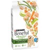 Purina Beneful Healthy Weight with Real Chicken Dry Dog Food - image 4 of 4