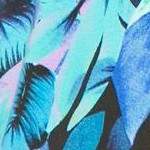 dark sapphire palm leaf