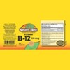Nature's Blend 58 Vitamin B-12 100 mcg (Each) - 2 of 3