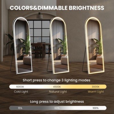 3 Color Lighting Mirror with LED Lights, 60"x16" Lighted Floor Standing Mirror with Stand