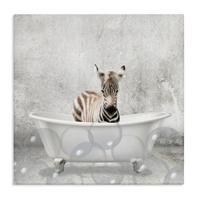Stupell Industries Baby Zebra Bath Time, 36" x 36"