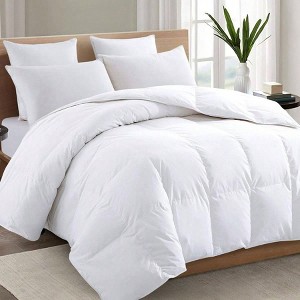 Premium 2100 Queen Comforter, Breathable White Down Alternative Duvet with 4D Spiral Fiber, Hotel Style, 88x88 - 1 of 4
