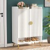 Hommoo Shoe Cabinet with Doors - 3 of 4