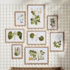 Plum & Post 16.5"W x 0.75"D x 23"H and 13.25 x 0.75 x 18.5 and 10.25 x 0.75 x 13.75 Flora And Fauna Gallery Prints Framed Wall Art Set of 8 - 3 of 3