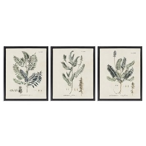 Stupell Industries Green Botanical Latin Study, 25" x 31" - 1 of 4