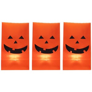 Northlight Set of 3 Jack-O-Lantern Halloween Luminary Pathway Markers - 5ft Black Wire - 1 of 4