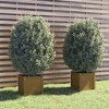 vidaXL Planter Set of 2 Honey Brown Solid Pinewood Standard Planters - 2 of 4