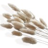 Alilang Dried Floral Bouquet with Pampas Grass, Baby s Breath, and Eucalyptus - Beige - 2 of 4