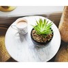 Silver Buffalo Friends Central Perk Logo Large 7.75 x 4.75 Inch Ceramic Planter with Artificial Succulent - 4 of 4