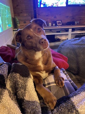 Guest review image 1 of 1, zoom in