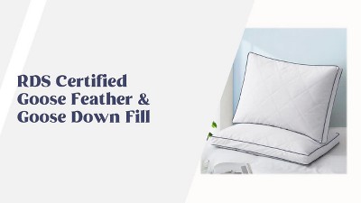 Standard White Quilted Goose Feather Down Pillows Set of 2