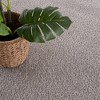 Hauteloom Judy Solid Gray Washable Shag Rug - 3 of 4