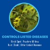 BioAdvanced 3-in-1 Insect Disease & Mite Control, Non-Neonic, Ready-to-Spray, Spray - 32 fl. oz. - 3 of 4