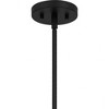 Quoizel Lighting Seigler 3 - Light Pendant in  Matte Black - 3 of 4
