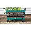 Emsco Little Pickers Raised Bed Children's Grow Box Rectangular Outdoor Planter Teal Green 24"x20"x30": Kids Gardening Accessory - 3 of 4