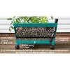 Emsco Little Pickers Raised Bed Children's Grow Box Rectangular Outdoor Planter Teal Green 24"x20"x30": Kids Gardening Accessory - image 3 of 4