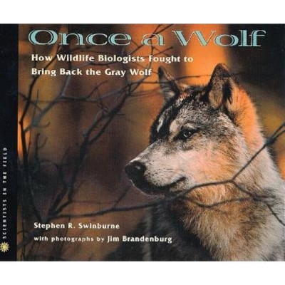  Once a Wolf - (Scientists in the Field (Paperback)) by  Stephen Swinburne (Paperback) 