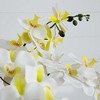 Nearly Natural 23-in Artificial Phalaenopsis Orchid Arrangement in White Ceramic Planter (Real Touch) - 3 of 4