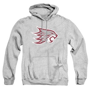 California State University - Chico Official Distressed Primary Logo Adult Pull-Over Hoodie - 1 of 4