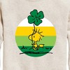 Boys' - Peanuts - Woodstock Shamrock Graphic Long Sleeve Fleece Sweatshirt - 2 of 4