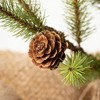 18"H Sullivans Small Pinecone Tree In Burlap, Green - 2 of 3