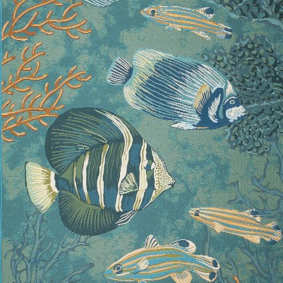 fish aqua