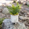 Footed Planter White Porcelain - 2 of 4