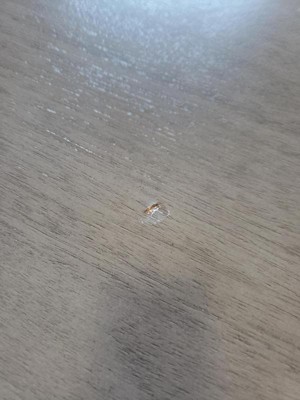 Guest review image 1 of 1, zoom in