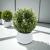 Unique Bargains Artificial Plants Mondo Grass in White Planter Plastic Green 3.86"x3.86"x9.84" 1 Pc - 2 of 4