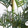 HomeStock  5 ft. Artificial Palm Tree in Pot for Indoor/Outdoor - 4 of 4