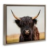 Stupell Industries Black Highland Cow Portrait Floating Frame Canvas Art, Brown, 21" x 17" - 2 of 4