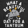 What A Beautiful Day for A Tantrum Baby Bodysuit Funny Sarcastic Graphic Novelty Jumper for Infants - Crazy Dog Baby Bodysuit Sarcastic Gift - 2 of 4