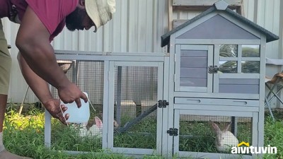 Black Metal Rabbit Playpen with Waterproof Liner