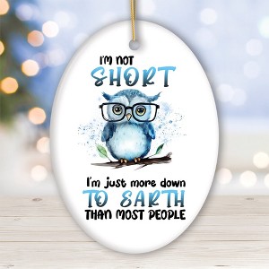 Down to Earth Owl Ceramic Ornament, Cute and Funny Christmas Gift| OrnamentallyYou - 1 of 4