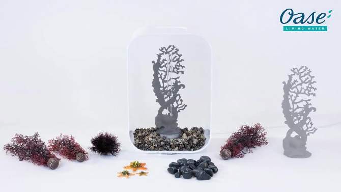 biOrb Starfish Set Aquarium Sculptures, 2 of 5, play video
