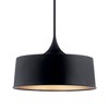 Elias 15.25" 1 Light Convertible Pendant Black - 3 of 4