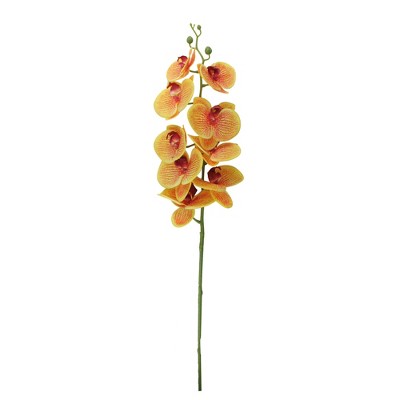 Northlight 40" Yellow/Burgundy Phalaenopsis Orchid Floral Artificial Stemmed Spring Spray