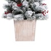 4ft Pre-Lit Flocked Ashcroft Fir Potted Artificial Christmas Tree - Haute Décor: Indoor Decor, Incandescent Lights - 2 of 4