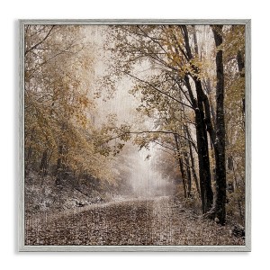 Stupell Industries Sunlit Woodland Nature Trail, 17" x 17" - 1 of 4