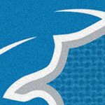 detroit lions