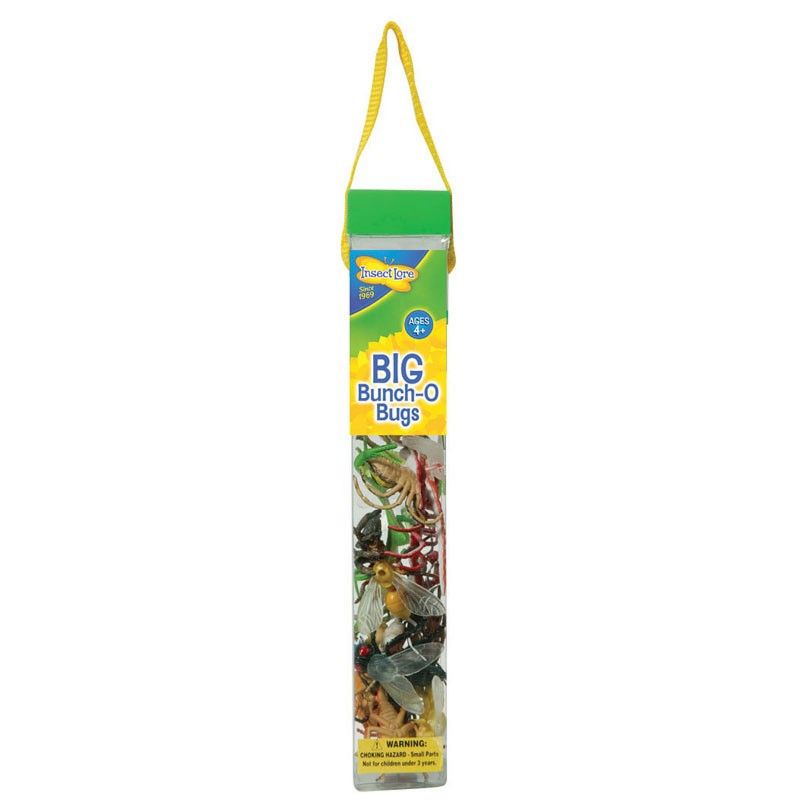 Insect Lore Big Bunch O' Bugs, Set of 18, 2 of 3