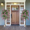 Costway 1/2 PCS 5.5 FT Tall Artificial Ficus Tree Faux Wisteria Plant in Nursery Pot Decoration Pink/Purple - 2 of 4