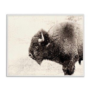 Stupell Industries Shaggy Buffalo Rustic Portrait Vintage Sepia Tone Photography Black Framed Giclee Art - 1 of 4