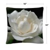 Kurt Shaffer - 16 x 16 Decorative Throw Pillow by Trademark Fine Art - 4 of 4