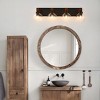BAOURE 20.08" Black Bathroom Vanity Light Fixture, Rustic Wall Sconces with Glass Shade,Vanity Lighting Fixtures Over Mirror for Living Room Hallway - 2 of 4