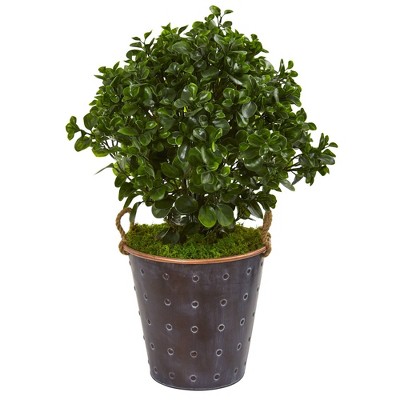 2.5' Peperomia Artificial Plant in Metal Planter - Nearly Natural