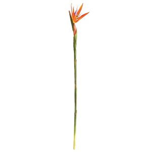 Plum & Post 31.5" Bird Of Paradise Faux (Fake) Stem - 1 of 2