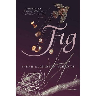 Fig - by  Sarah Elizabeth Schantz (Paperback)