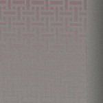 florida state seminoles athletic wordmark