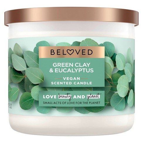 Beloved Green Clay and Eucalyptus Vegan Scented Candle - 15oz - image 1 of 4
